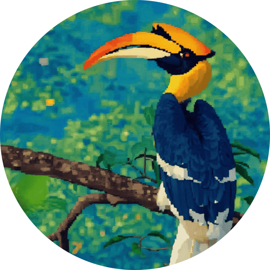 My representating avatar